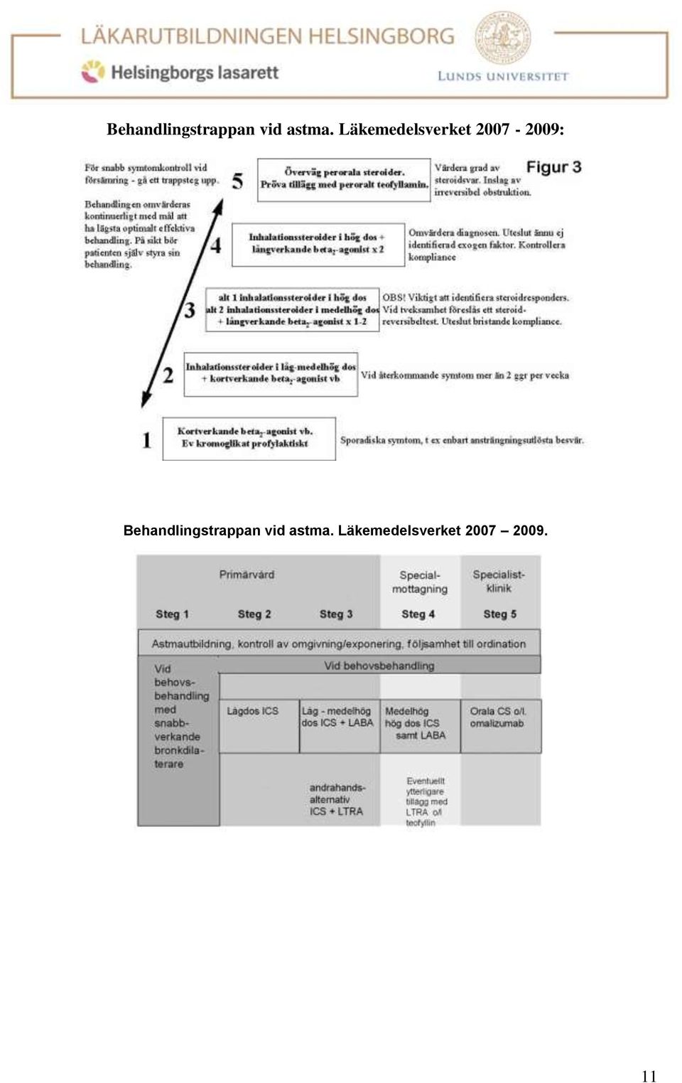 Läkemedelsverket 2007 2009.