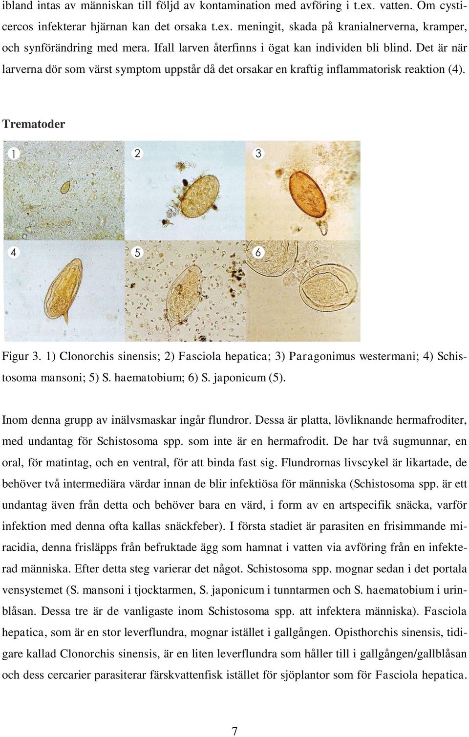 1) Clonorchis sinensis; 2) Fasciola hepatica; 3) Paragonimus westermani; 4) Schistosoma mansoni; 5) S. haematobium; 6) S. japonicum (5). Inom denna grupp av inälvsmaskar ingår flundror.