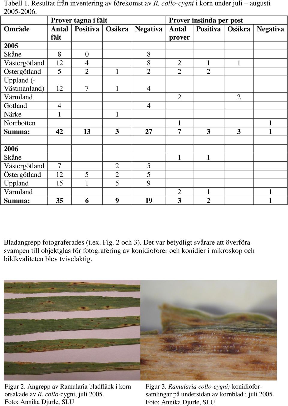 Värmland Gotland Närke Norrbotten Summa: 7 7 006 Skåne Västergötland Östergötland Uppland Värmland Summa: 7 6 9 9 9 Bladangrepp fotograferades (t.ex. Fig. och ).