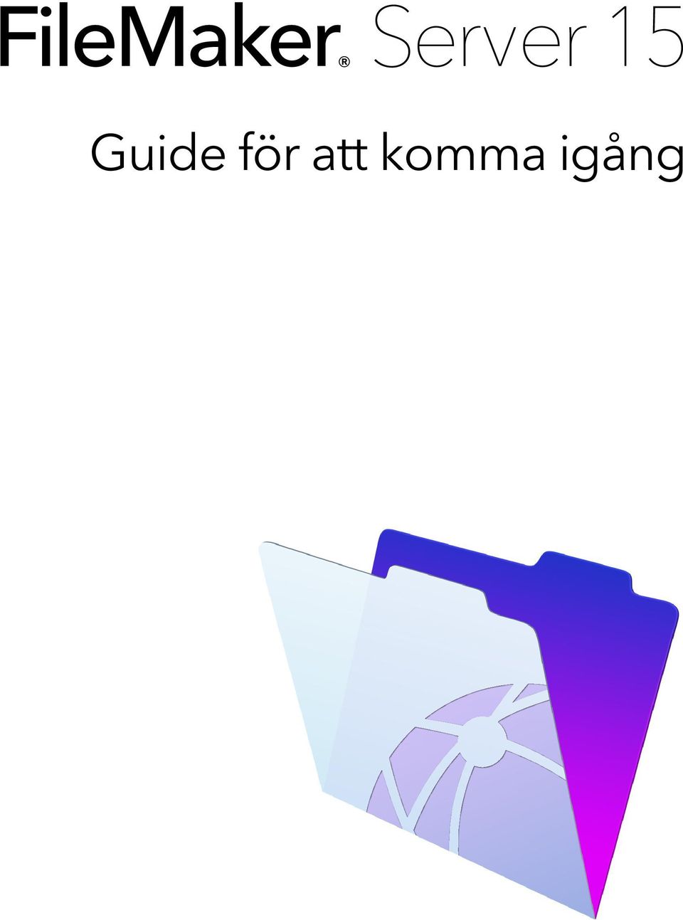 Guide för