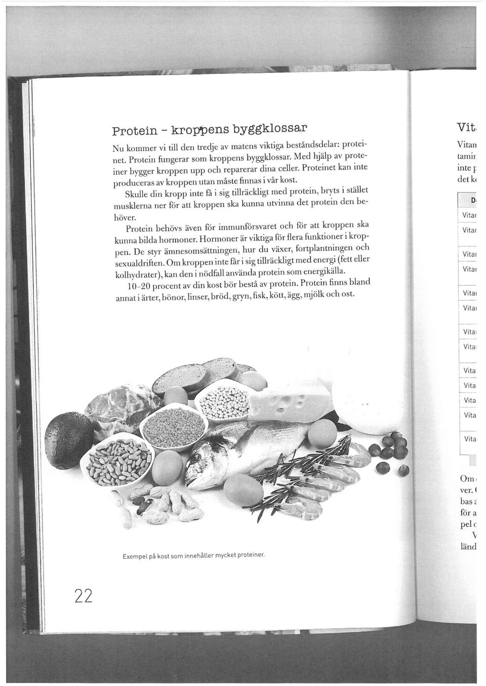 Skulle din kropp inte få i sig tillräckligt med protein, bryts l stället musklerna ner för att kroppen ska kunna utvinna det protein den behäver.