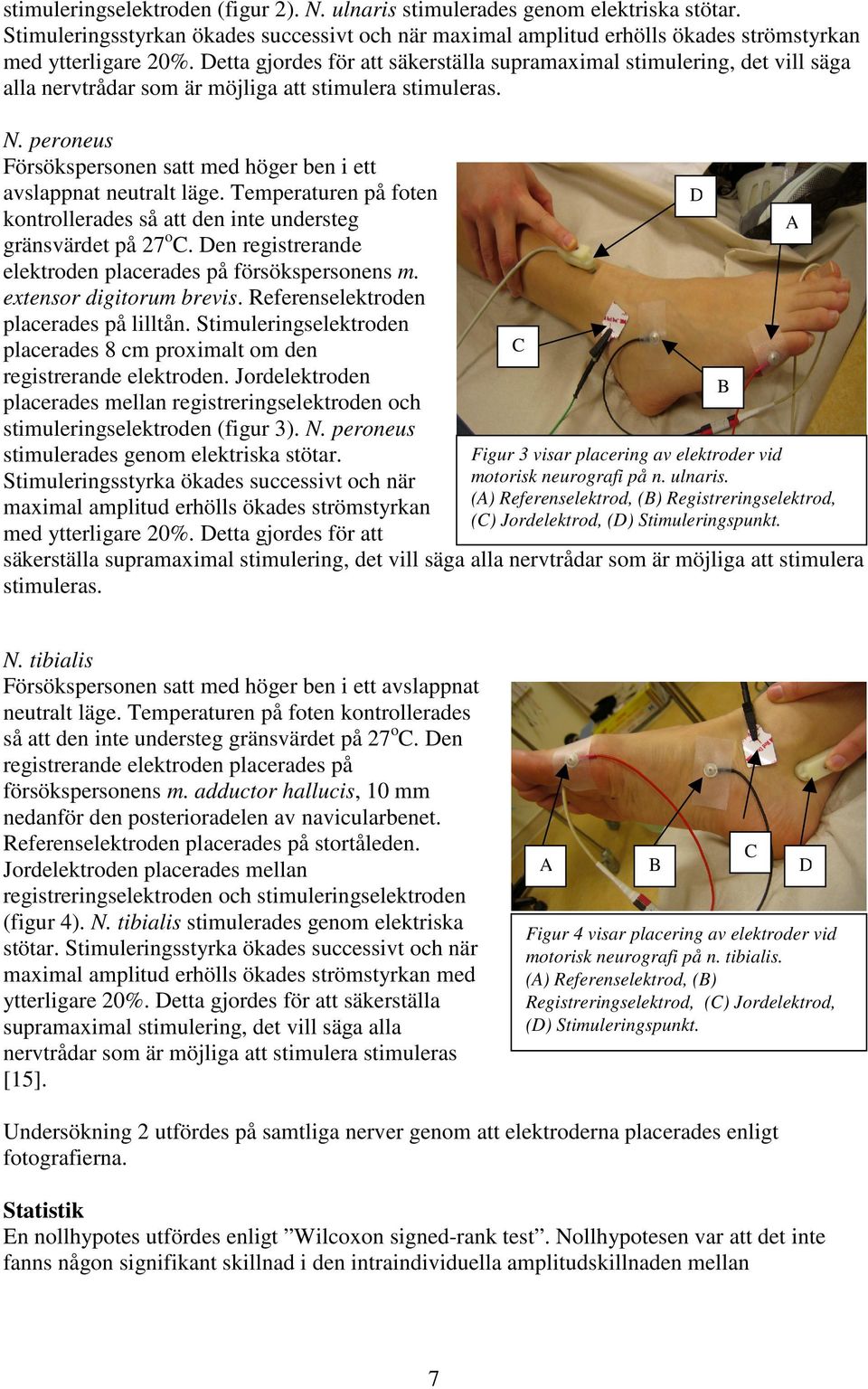 peroneus Försökspersonen satt med höger ben i ett avslappnat neutralt läge. Temperaturen på foten kontrollerades så att den inte understeg gränsvärdet på 27 o C.