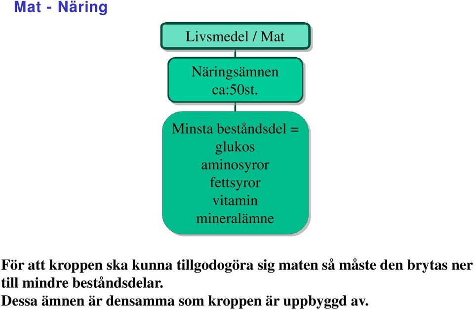 ska kunna tillgodogöra sig maten så måste den brytas ner För att kroppen ska kunna