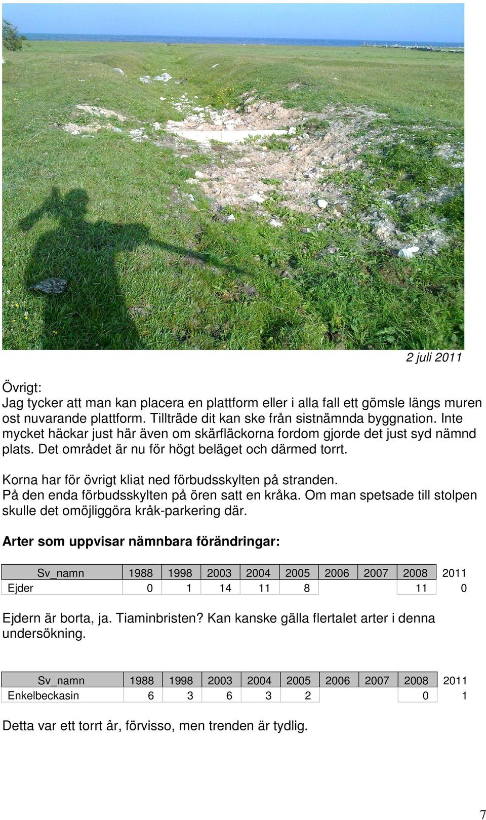 Korna har för övrigt kliat ned förbudsskylten på stranden. På den enda förbudsskylten på ören satt en kråka. Om man spetsade till stolpen skulle det omöjliggöra kråk-parkering där.