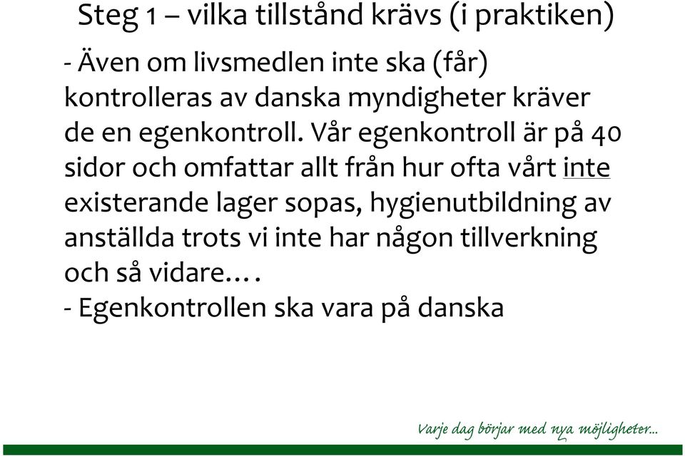 Vår egenkontroll är på 40 sidor och omfattar allt från hur ofta vårt inte existerande