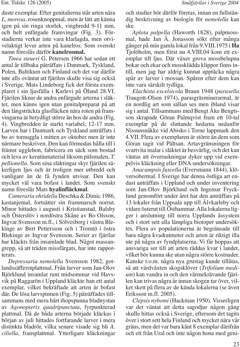 Petersen 1966 har sedan ett antal år tillbaka påträffats i Danmark, Tyskland, Polen, Baltikum och Finland och det var därför inte alls oväntat att fjärilen skulle visa sig också i Sverige.