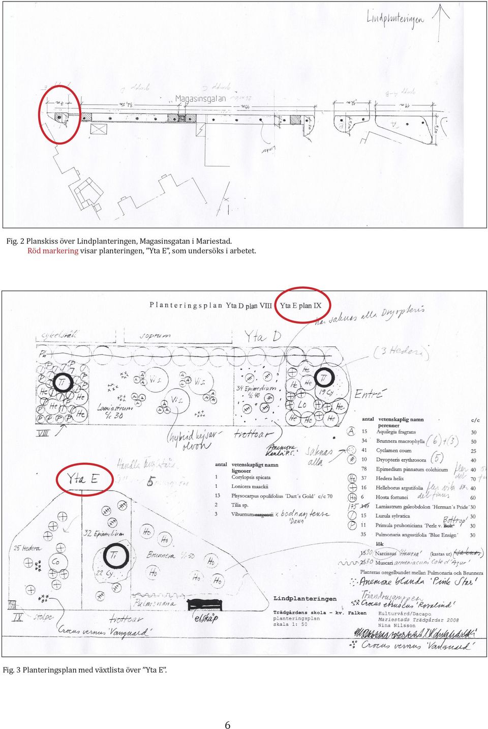 Röd markering visar planteringen, Yta E, som