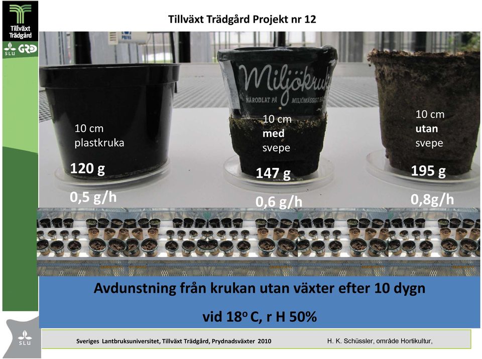 Avdunstning från krukan utan växter efter 10 dygn vid 18 o C, r H