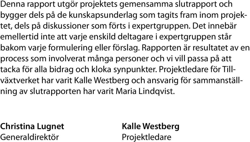 Rapporten är resultatet av en process som involverat många personer och vi vill passa på att tacka för alla bidrag och kloka synpunkter.