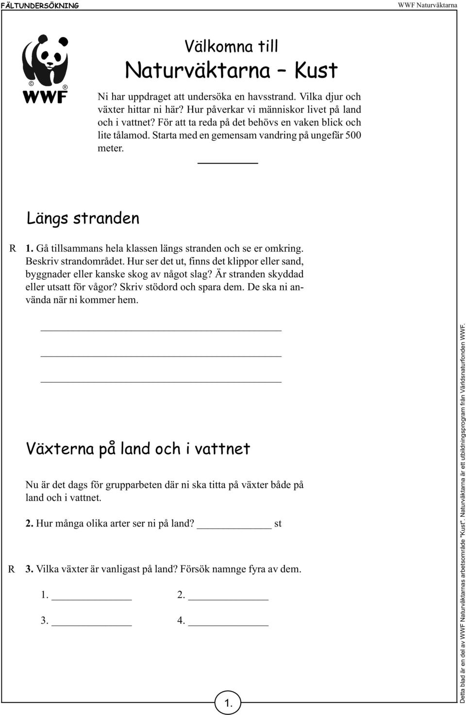 Beskriv strandområdet. Hur ser det ut, finns det klippor eller sand, byggnader eller kanske skog av något slag? Är stranden skyddad eller utsatt för vågor? Skriv stödord och spara dem.