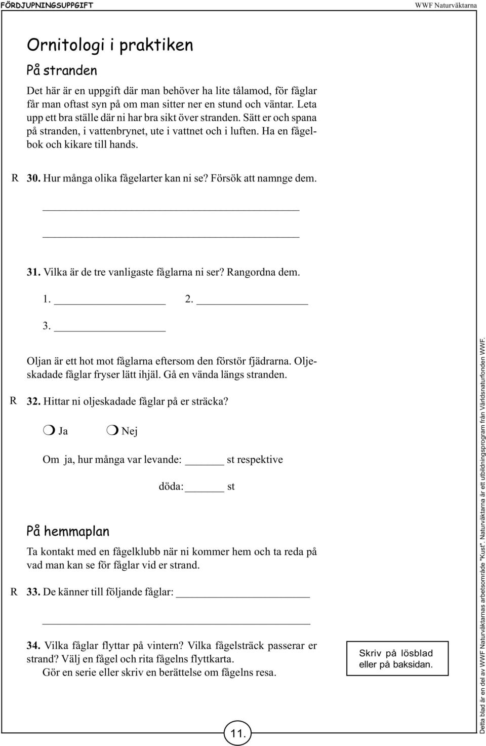 Hur många olika fågelarter kan ni se? Försök att namnge dem. 31. Vilka är de tre vanligaste fåglarna ni ser? angordna dem. 1. 2. 3. Oljan är ett hot mot fåglarna eftersom den förstör fjädrarna.