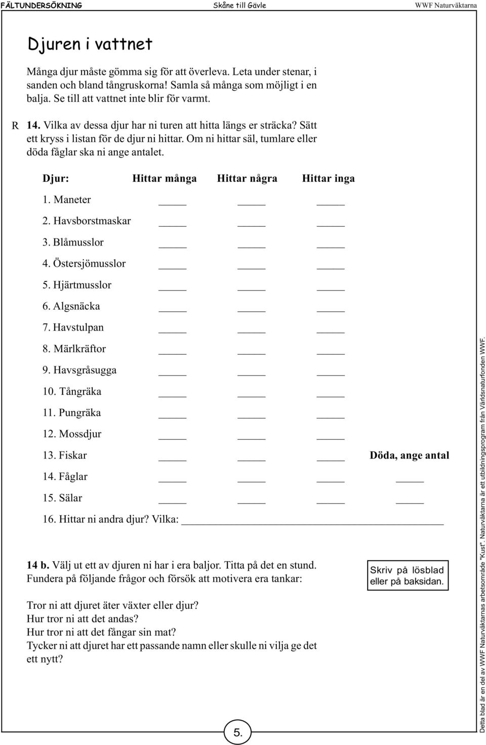 Om ni hittar säl, tumlare eller döda fåglar ska ni ange antalet. Djur: Hittar många Hittar några Hittar inga 1. Maneter 2. Havsborstmaskar 3. Blåmusslor 4. Östersjömusslor 5. Hjärtmusslor 6.