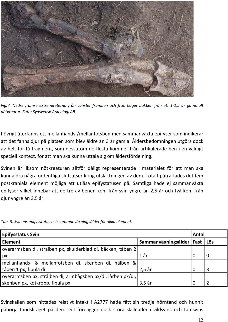 Åldersbedömningen utgörs dock av helt för få fragment, som dessutom de flesta kommer från artikulerade ben i en väldigt speciell kontext, för att man ska kunna uttala sig om åldersfördelning.