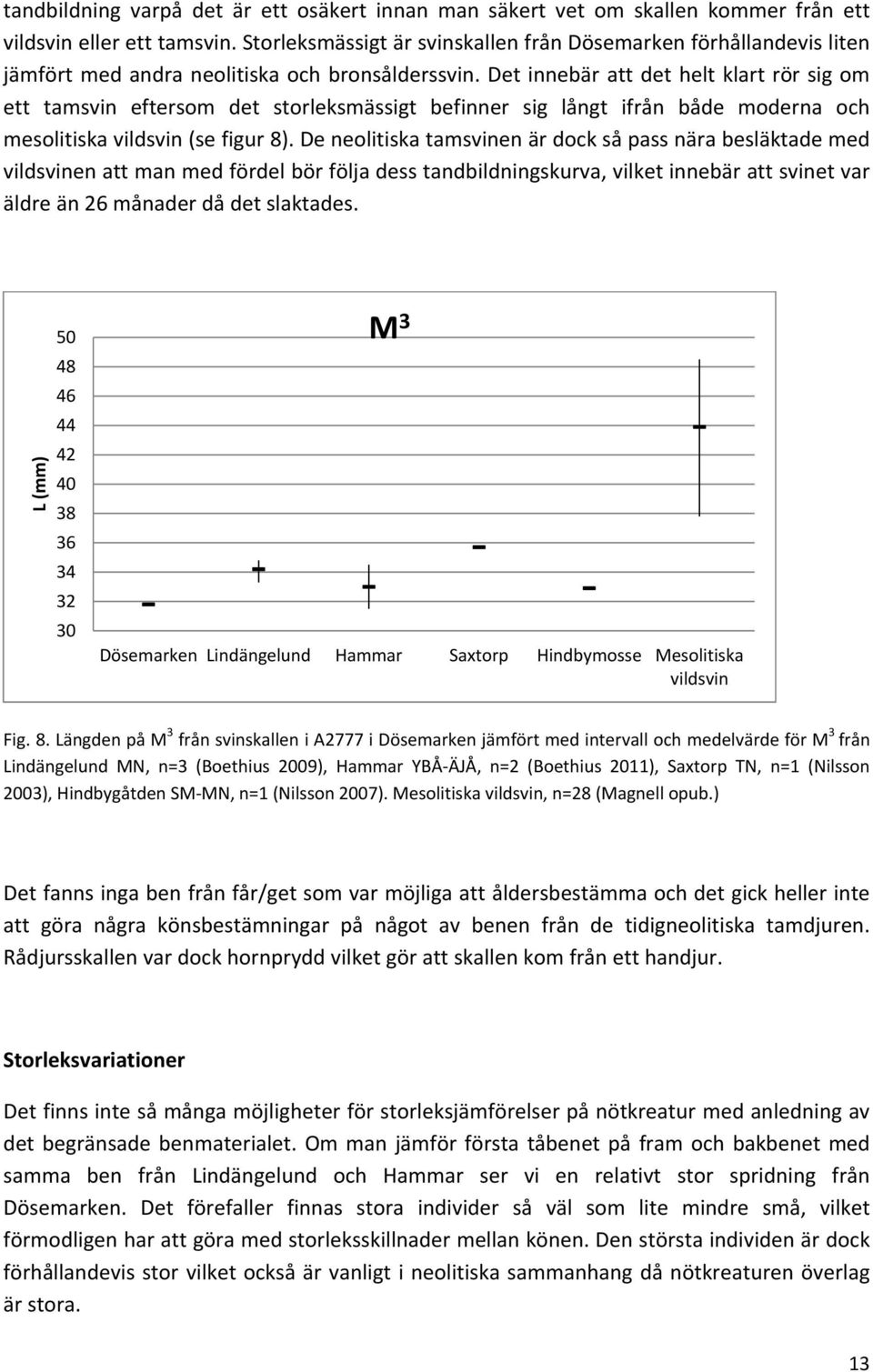 Det innebär att det helt klart rör sig om ett tamsvin eftersom det storleksmässigt befinner sig långt ifrån både moderna och mesolitiska vildsvin (se figur 8).