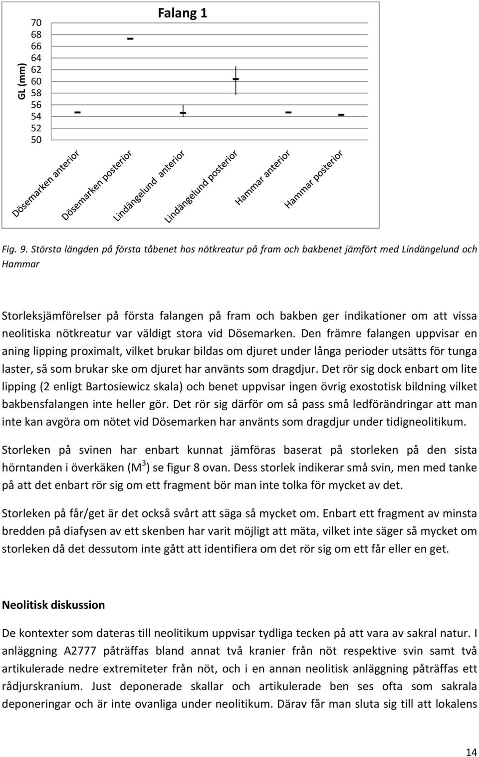 neolitiska nötkreatur var väldigt stora vid Dösemarken.