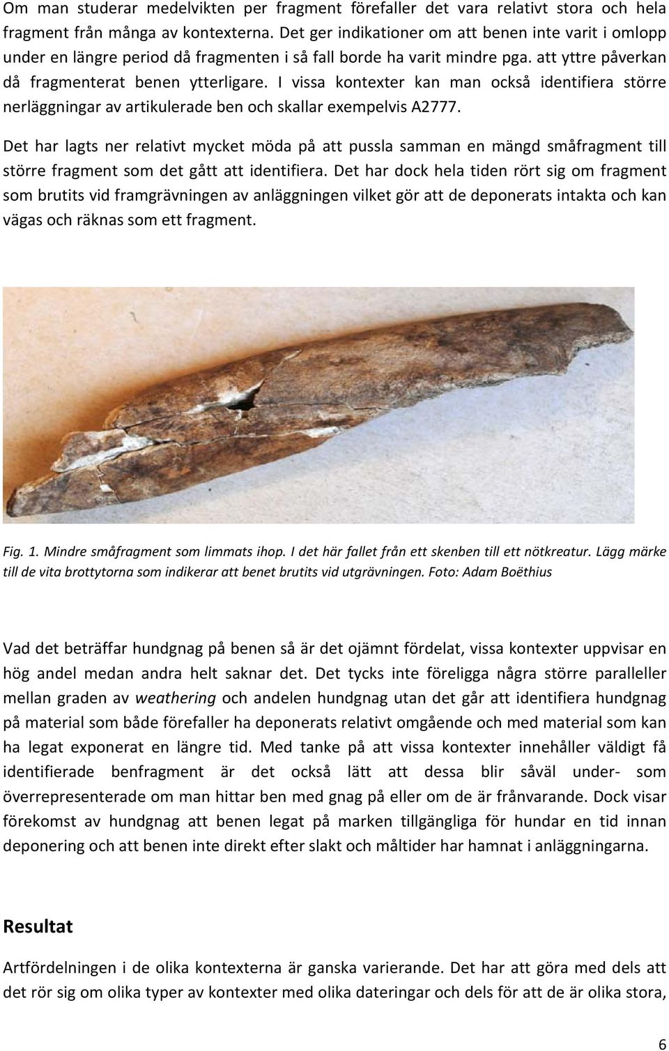 I vissa kontexter kan man också identifiera större nerläggningar av artikulerade ben och skallar exempelvis A2777.