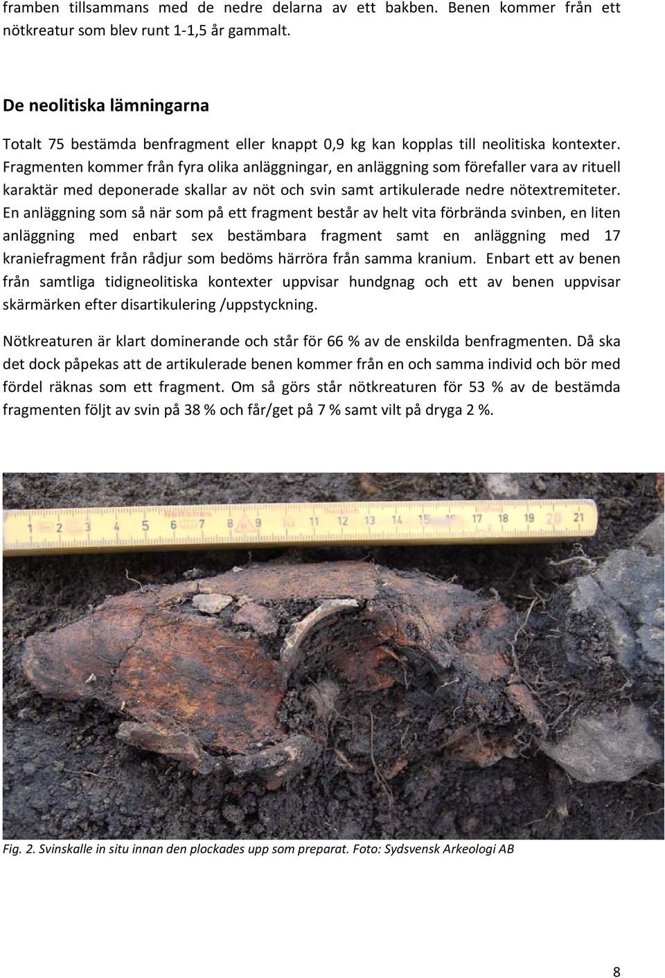 Fragmenten kommer från fyra olika anläggningar, en anläggning som förefaller vara av rituell karaktär med deponerade skallar av nöt och svin samt artikulerade nedre nötextremiteter.