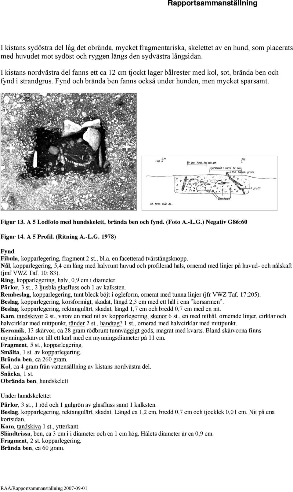 A 5 Lodfoto med hundskelett, brända ben och fynd. (Foto A.-L.G.) Negativ G86:60 Figur 14. A 5 Profil. (Ritning A.-L.G. 1978) Fynd Fibula, kopparlegering, fragment 2 st., bl.a. en facetterad tvärstångsknopp.