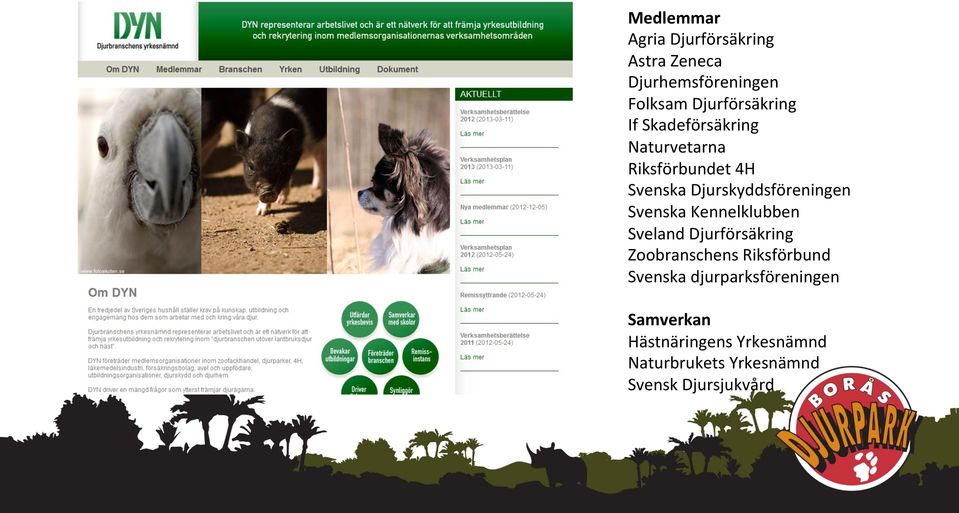 Kennelklubben Sveland Djurförsäkring Zoobranschens Riksförbund Svenska