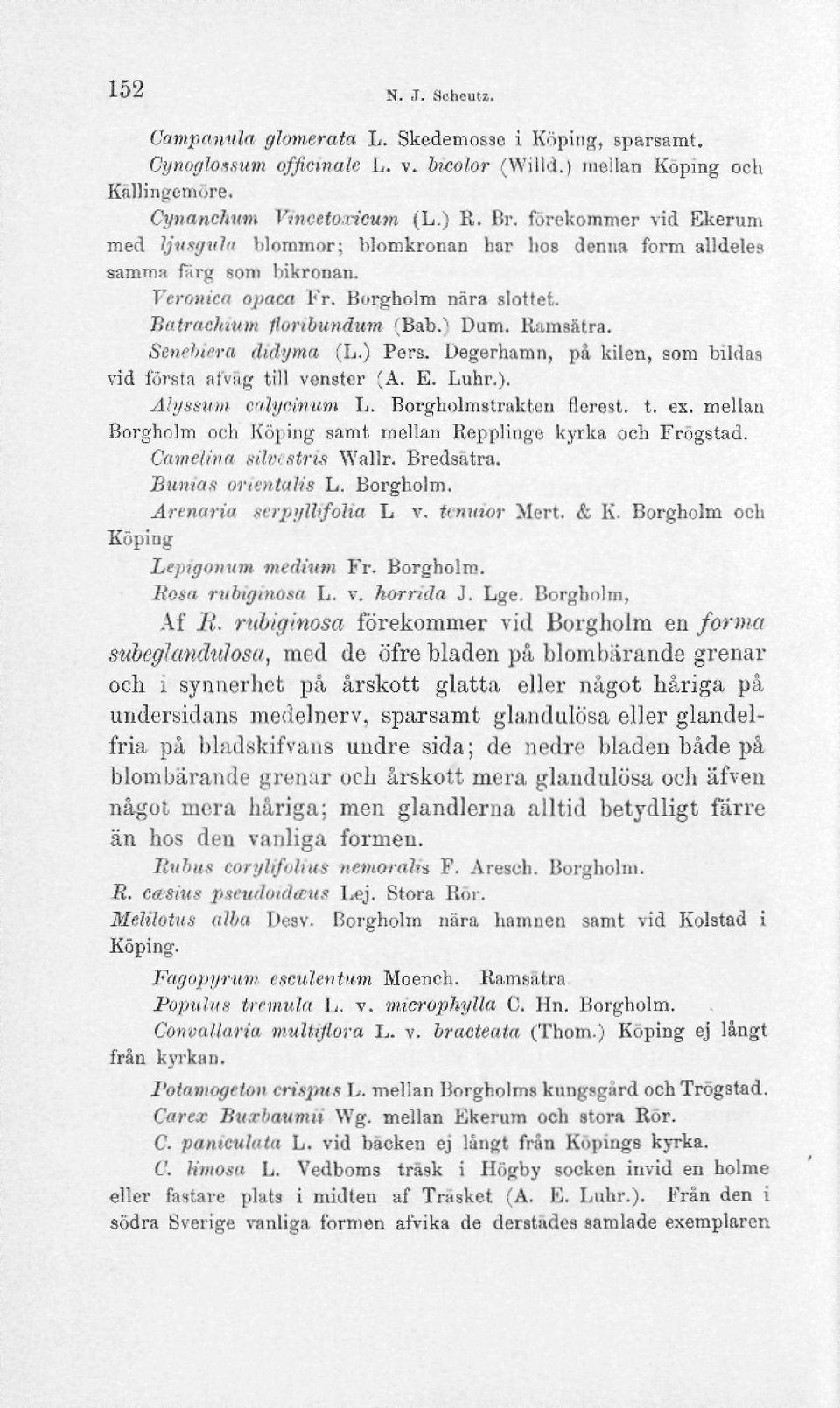 llamsatra. Senehiera didyma (L.) Pers. Degerhamn, på kilen, som bildas vid första afväg till vcnster (A. E. Luhr.). Alyssum cnlycmum L. Borgholmstrakten Hcrost. t. ex.