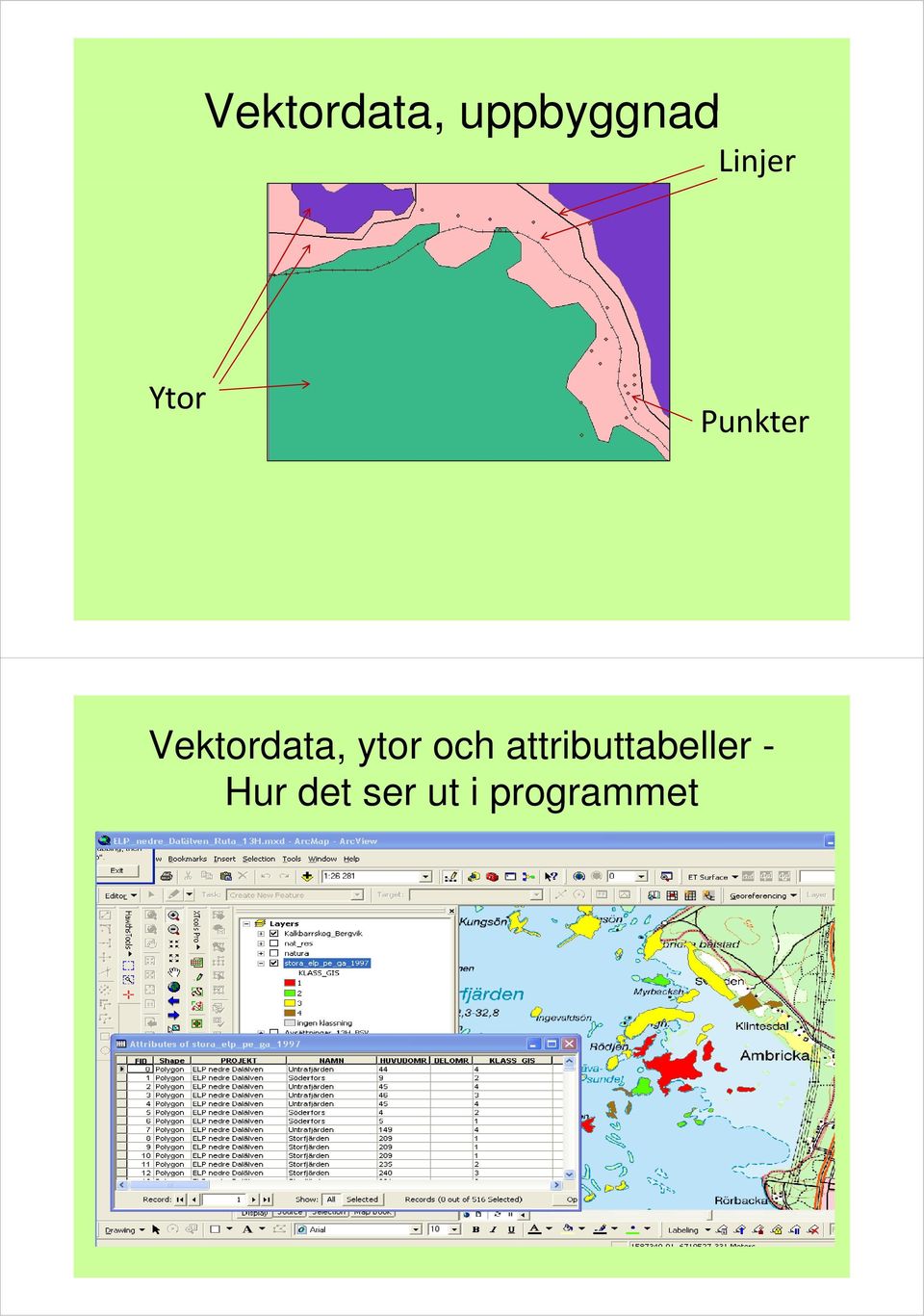 Vektordata, ytor och