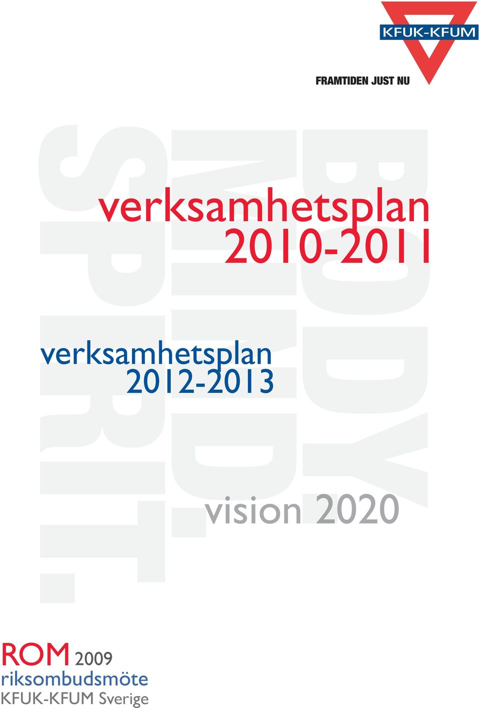 vision 2020 ROM 2009