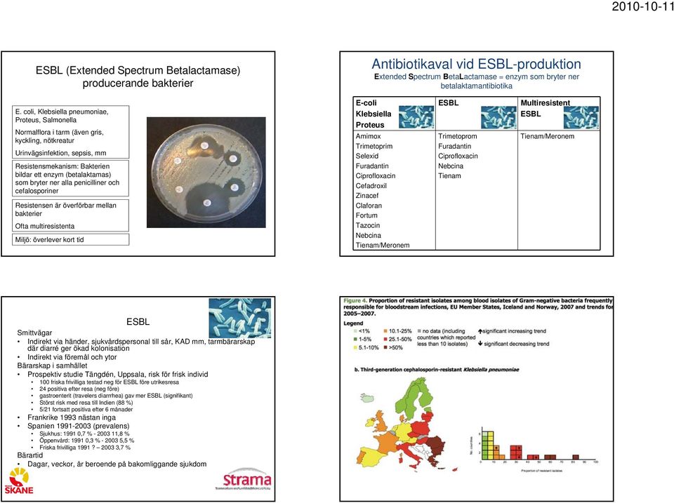 bryter ner alla penicilliner och cefalosporiner Resistensen är överförbar mellan bakterier Ofta multiresistenta Miljö: överlever kort tid E-coli Klebsiella Proteus Amimox Trimetoprim Selexid