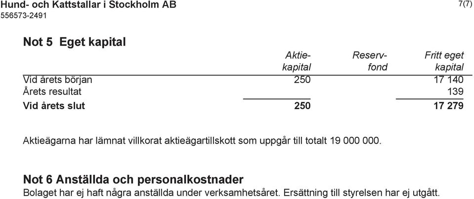 lämnat villkorat aktieägartillskott som uppgår till totalt 19 000 000.