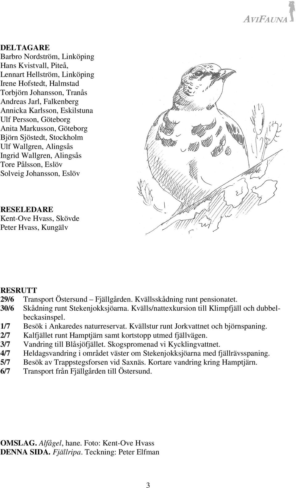 Peter Hvass, Kungälv RESRUTT 29/6 Transport Östersund Fjällgården. Kvällsskådning runt pensionatet. 30/6 Skådning runt Stekenjokksjöarna. Kvälls/nattexkursion till Klimpfjäll och dubbelbeckasinspel.