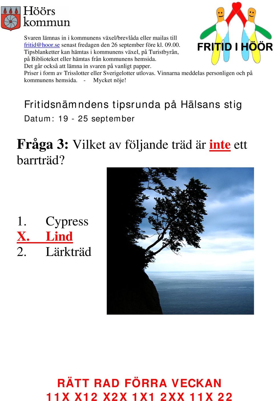 ett barrträd? 1.