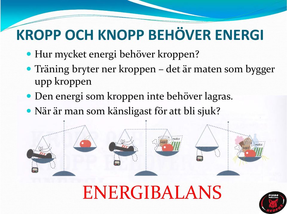 bygger upp kroppen Den energi som kroppen inte