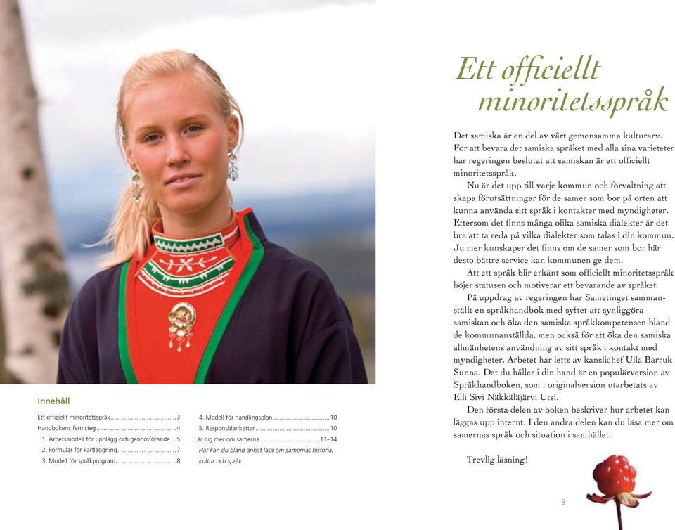 Det samiska är en del av vårt gemensamma kulturarv. För att bevara det samiska språket med alla sina varieteter har regeringen beslutat att samiskan är ett officiellt minoritetsspråk.