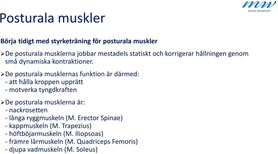 De posturala musklernas funktion är därmed: - att hålla kroppen upprätt - motverka tyngdkraften De posturala musklerna är: