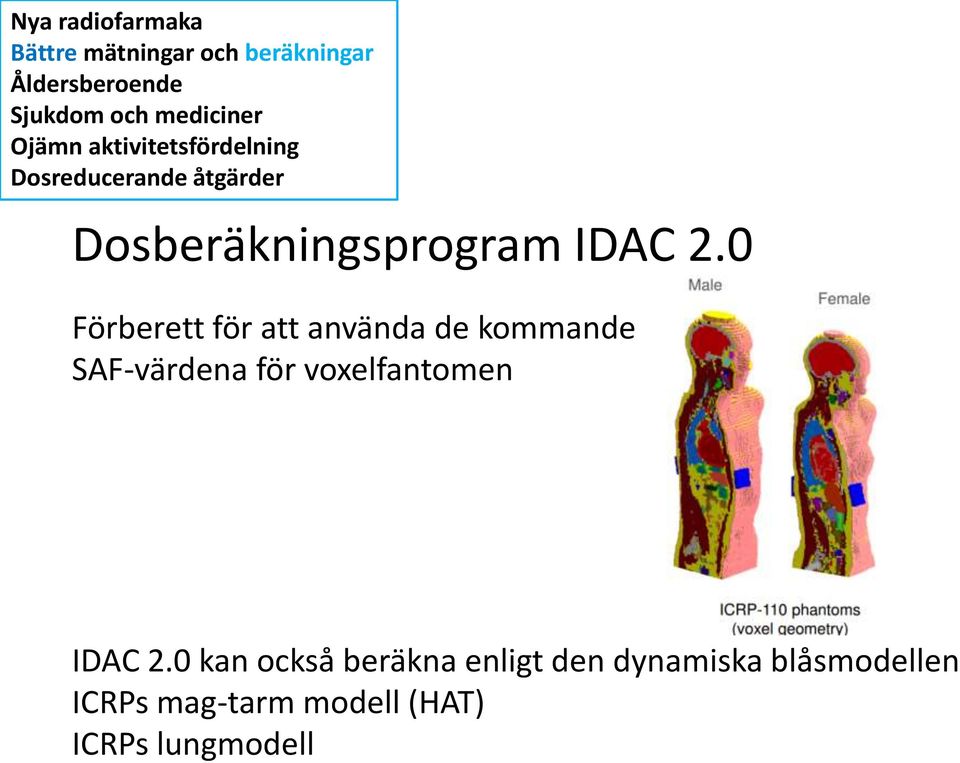 SAF-värdena för voxelfantomen IDAC 2.