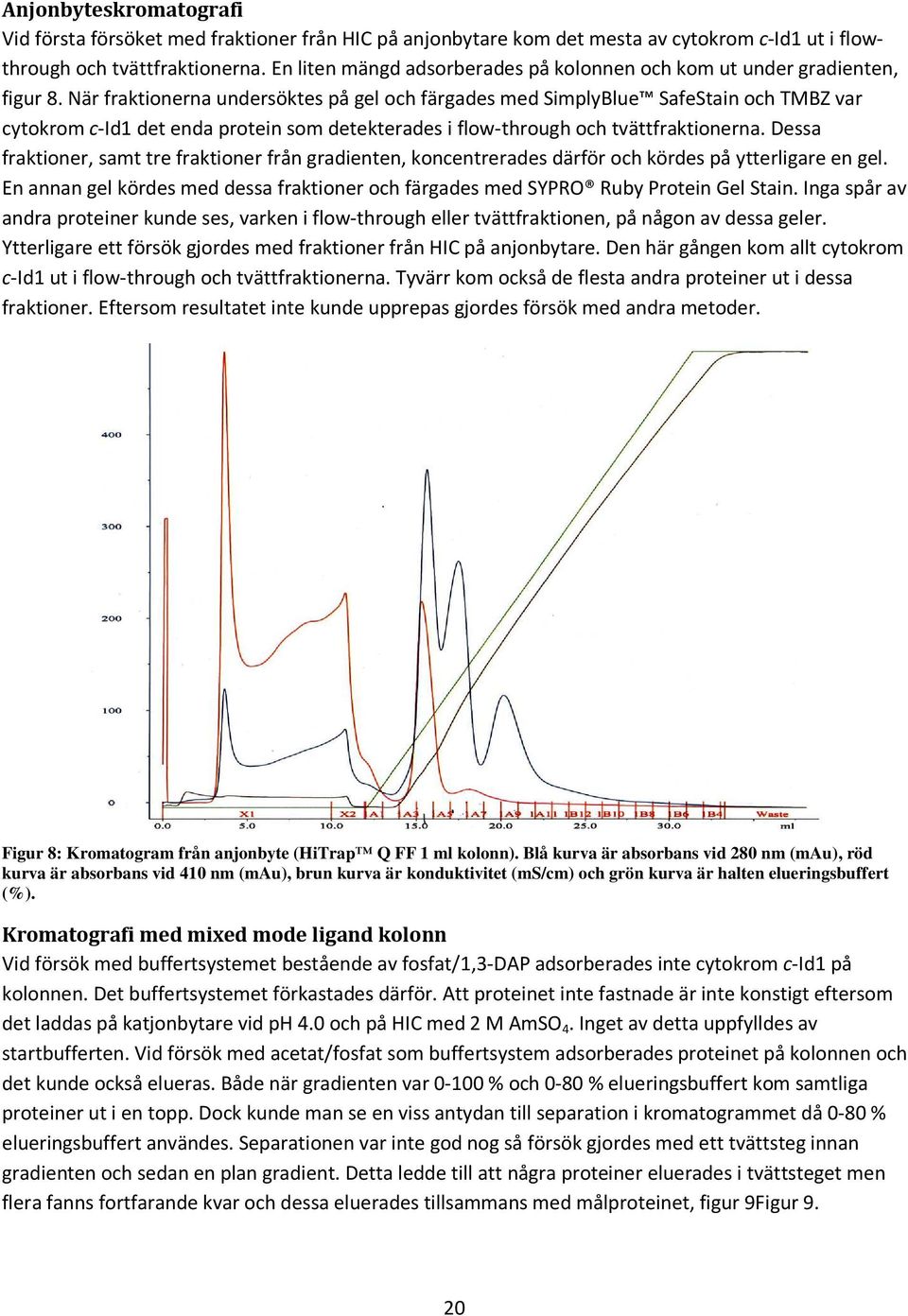 När fraktionerna undersöktes på gel och färgades med SimplyBlue SafeStain och TMBZ var cytokrom c-id1 det enda protein som detekterades i flow-through och tvättfraktionerna.