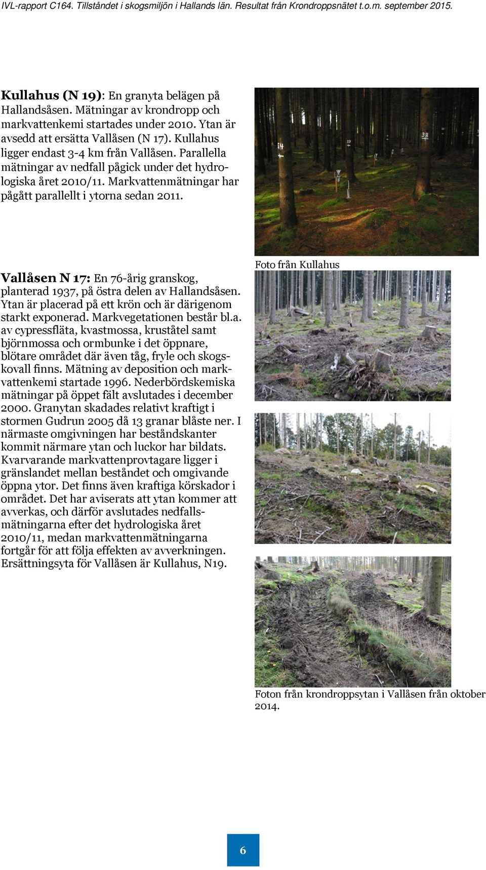 Vallåsen N 17: En 76-årig granskog, planterad 1937, på östra delen av Hallandsåsen. Ytan är placerad på ett krön och är därigenom starkt exponerad. Markvegetationen består bl.a. av cypressfläta, kvastmossa, kruståtel samt björnmossa och ormbunke i det öppnare, blötare området där även tåg, fryle och skogskovall finns.