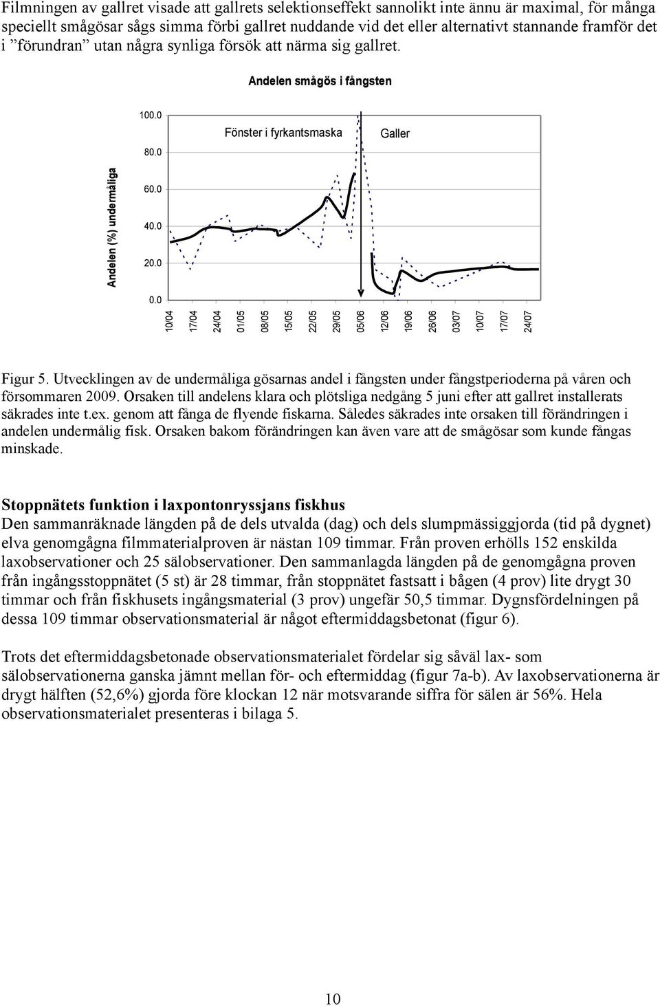 Figur. Utvecklingen av de undermåliga gösarnas andel i fångsten under fångstperioderna på våren och försommaren 9.