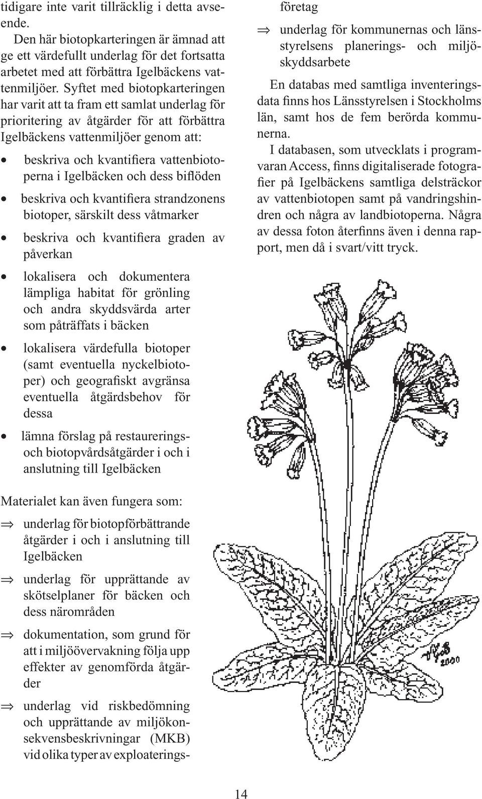 Igelbäcken och dess biflöden beskriva och kvantifiera strandzonens biotoper, särskilt dess våtmarker beskriva och kvantifiera graden av påverkan lokalisera och dokumentera lämpliga habitat för