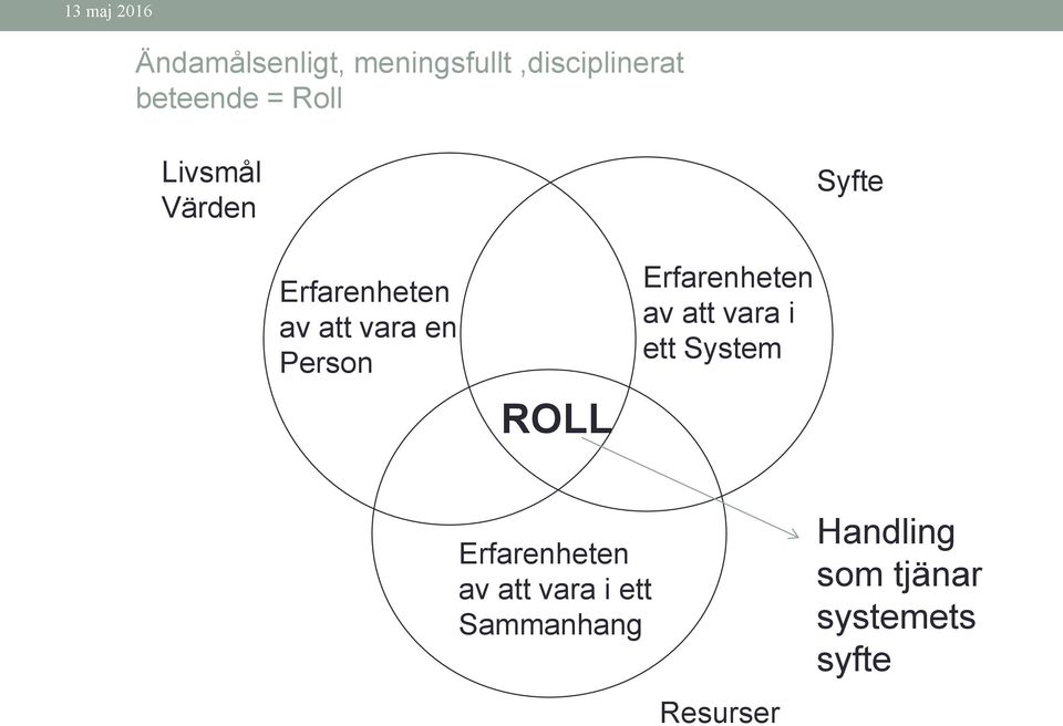 ROLL Erfarenheten av att vara i ett System Erfarenheten av att