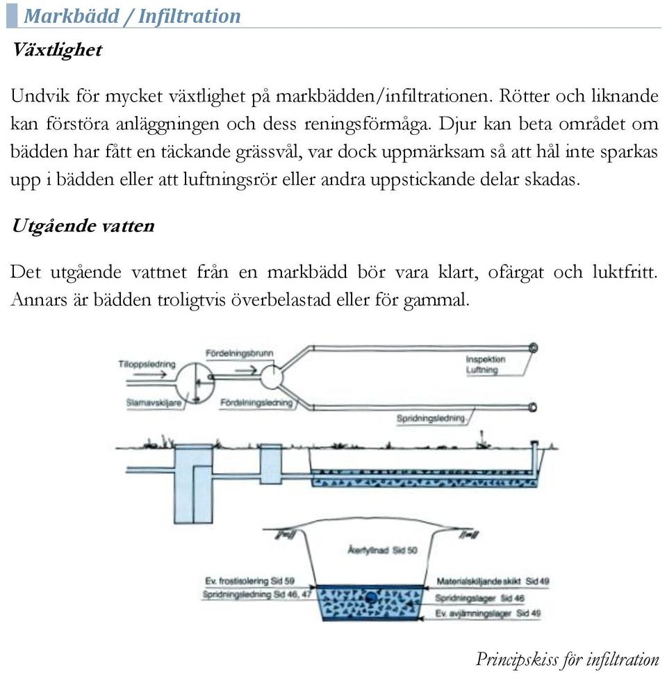 Djur kan beta området om bädden har fått en täckande grässvål, var dock uppmärksam så att hål inte sparkas upp i bädden eller att