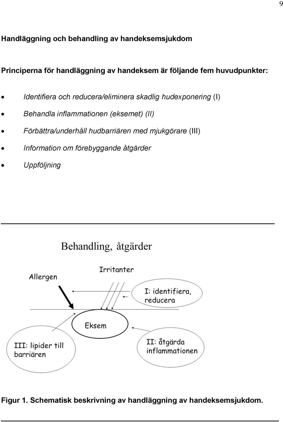 inflammationen (eksemet) (II) Förbättra/underhåll hudbarriären med mjukgörare (III) Information om