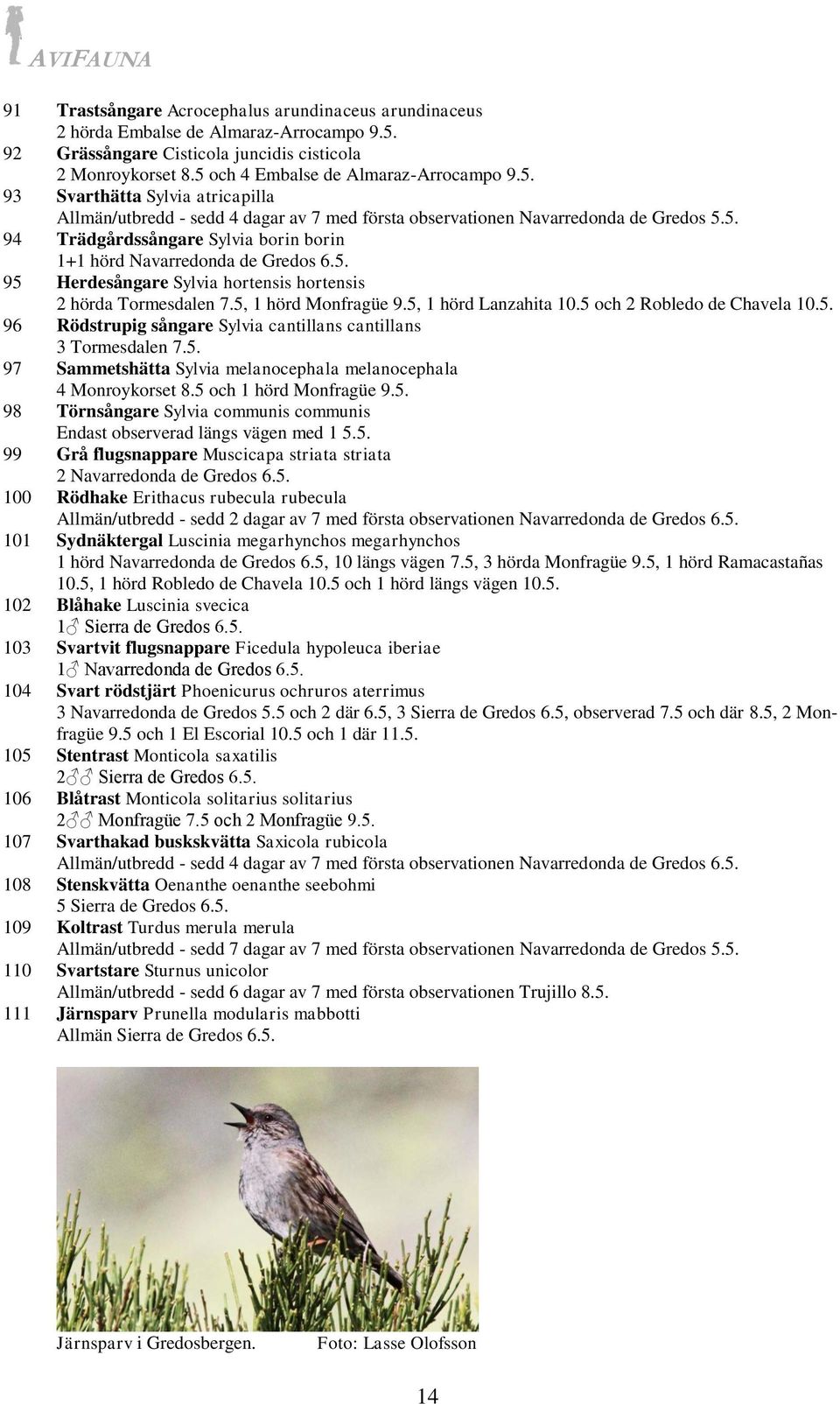 5. 94 Trädgårdssångare Sylvia borin borin 1+1 hörd Navarredonda de Gredos 6.5. 95 Herdesångare Sylvia hortensis hortensis 2 hörda Tormesdalen 7.5, 1 hörd Monfragüe 9.5, 1 hörd Lanzahita 10.