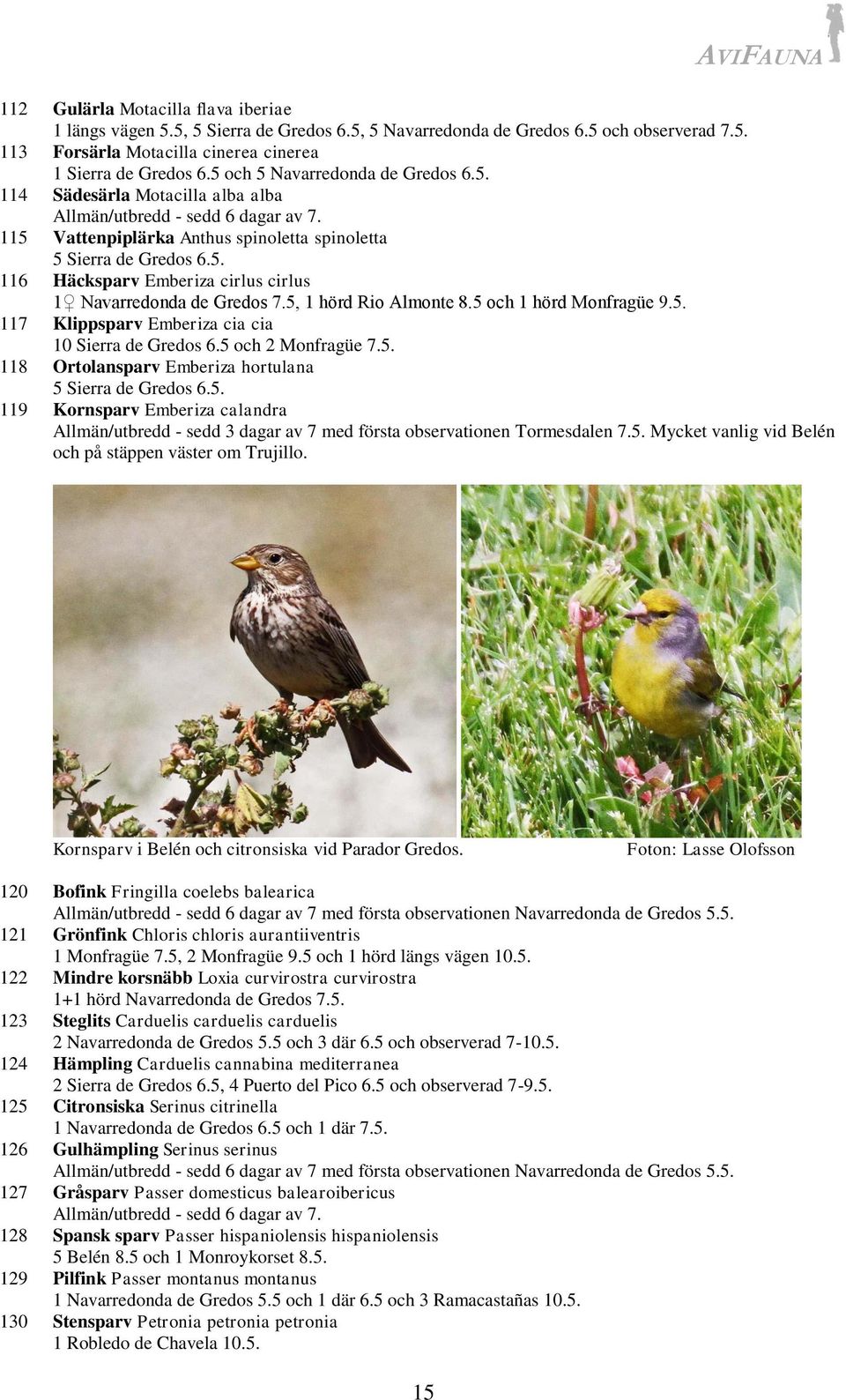 5, 1 hörd Rio Almonte 8.5 och 1 hörd Monfragüe 9.5. 117 Klippsparv Emberiza cia cia 10 Sierra de Gredos 6.5 och 2 Monfragüe 7.5. 118 Ortolansparv Emberiza hortulana 5 Sierra de Gredos 6.5. 119 Kornsparv Emberiza calandra Allmän/utbredd - sedd 3 dagar av 7 med första observationen Tormesdalen 7.