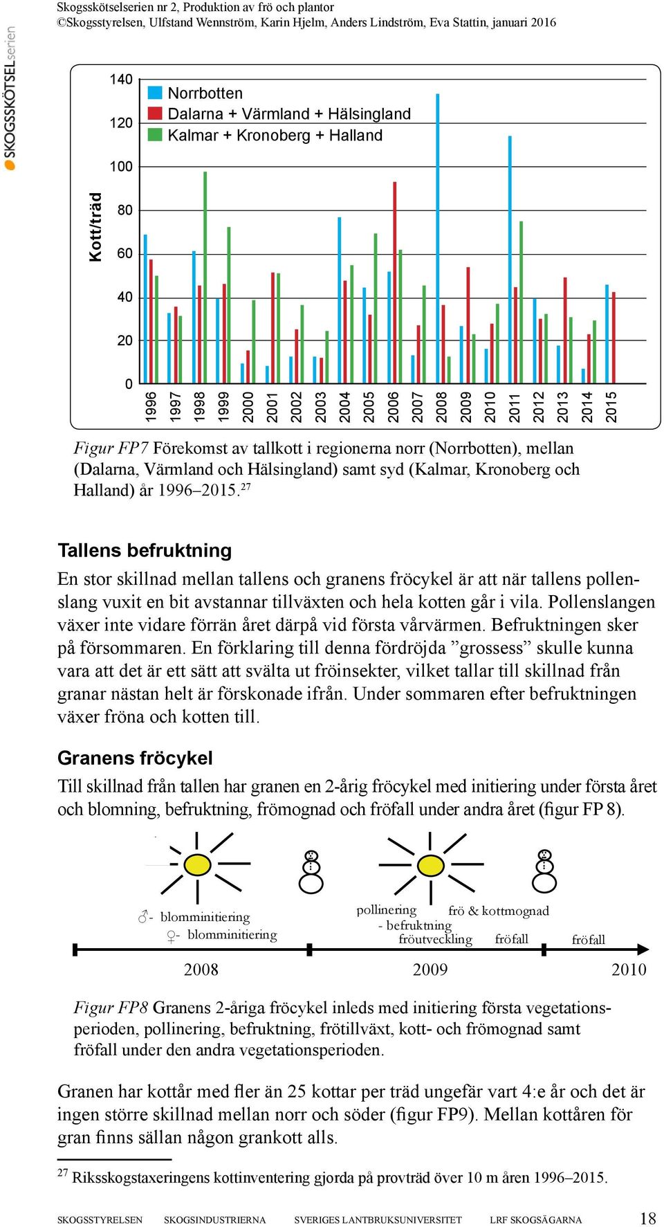 27 Tallens befruktning En stor skillnad mellan tallens och granens fröcykel är att när tallens pollenslang vuxit fröcykel en bit avstannar tillväxten och hela kotten går i vila.