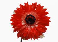 Hos oss kan du prova på Blomsterbindning Jag lär er binda blommor i mindre grupper om 4-6 personer. Du betalar bara för de blommor och det material du använder.