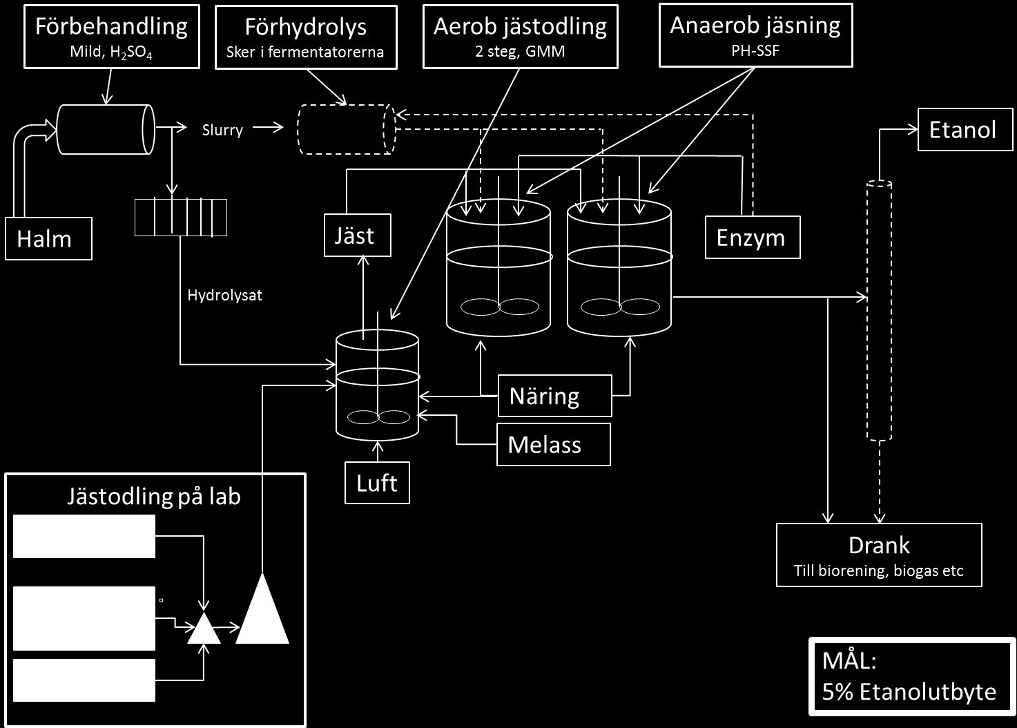 2.3 Genomförande Figur 1. Schematisk bild över processen. Ovan syns en schematisk bild över processen. Processen är indelad i förbehandling, förvätskningsfas, jästodling samt jäsning.