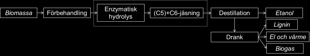 9 2 Inledning Produktion av etanol från lignocellulosa består av flera delsteg (Fig. 1). Lignocellulosa består av polymererna cellulosa, hemicellulosa och lignin.