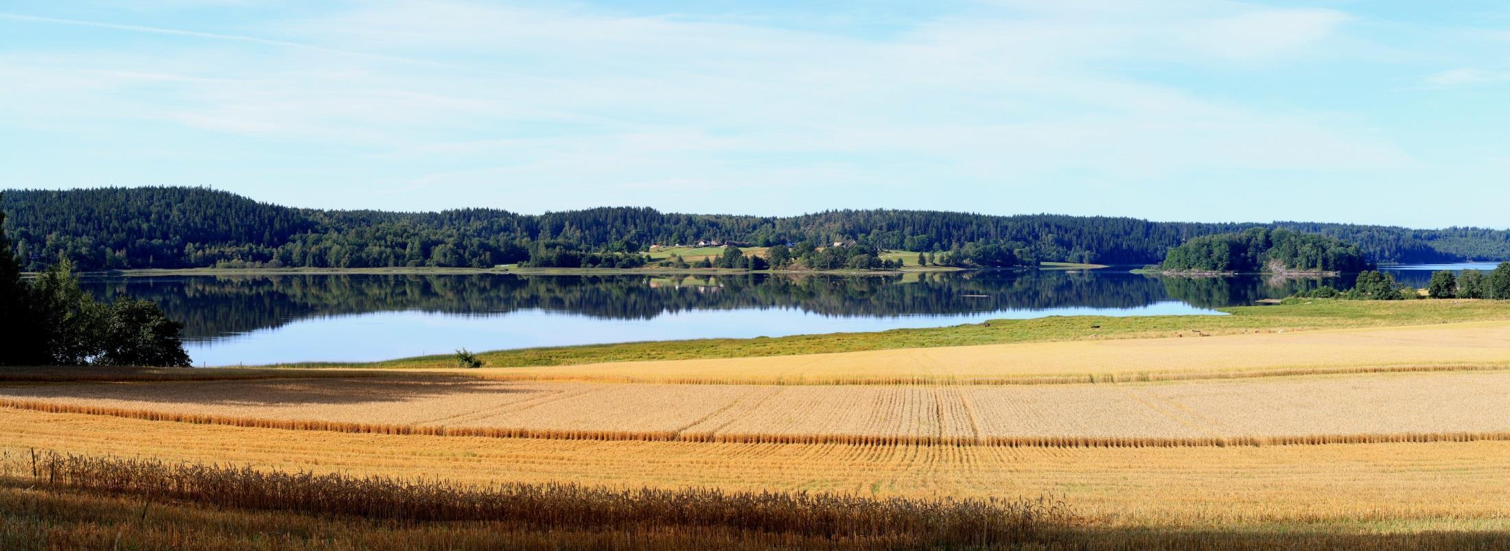 Hur effektiva är olika åtgärder för att minska näringsläckage