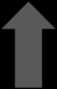 Kortisol Testosteron