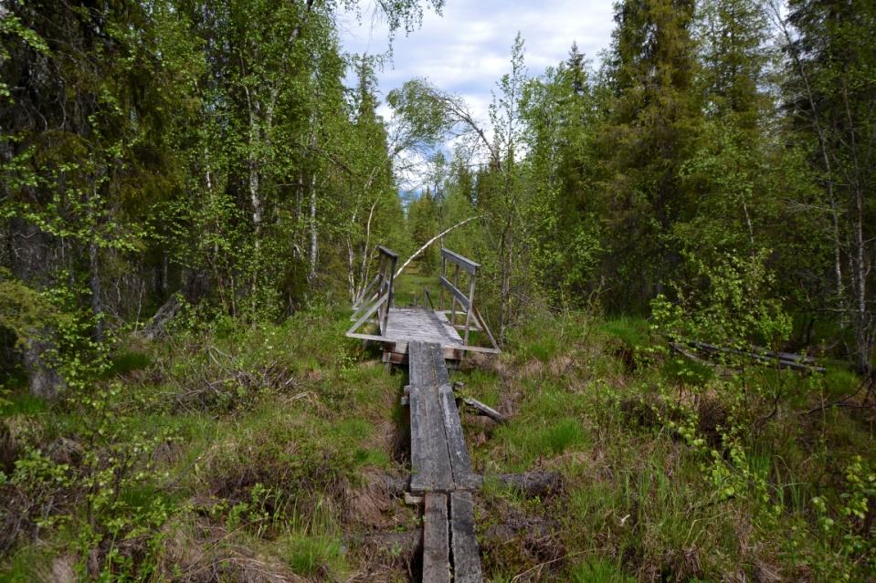 Keinosuando Många av mina anfäder på min farmors och min mormors sida har levt och verket i Keinosuando.